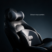 SeatRx Neck & Lumbar Recovery System