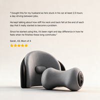 SeatRx Neck & Lumbar Recovery System